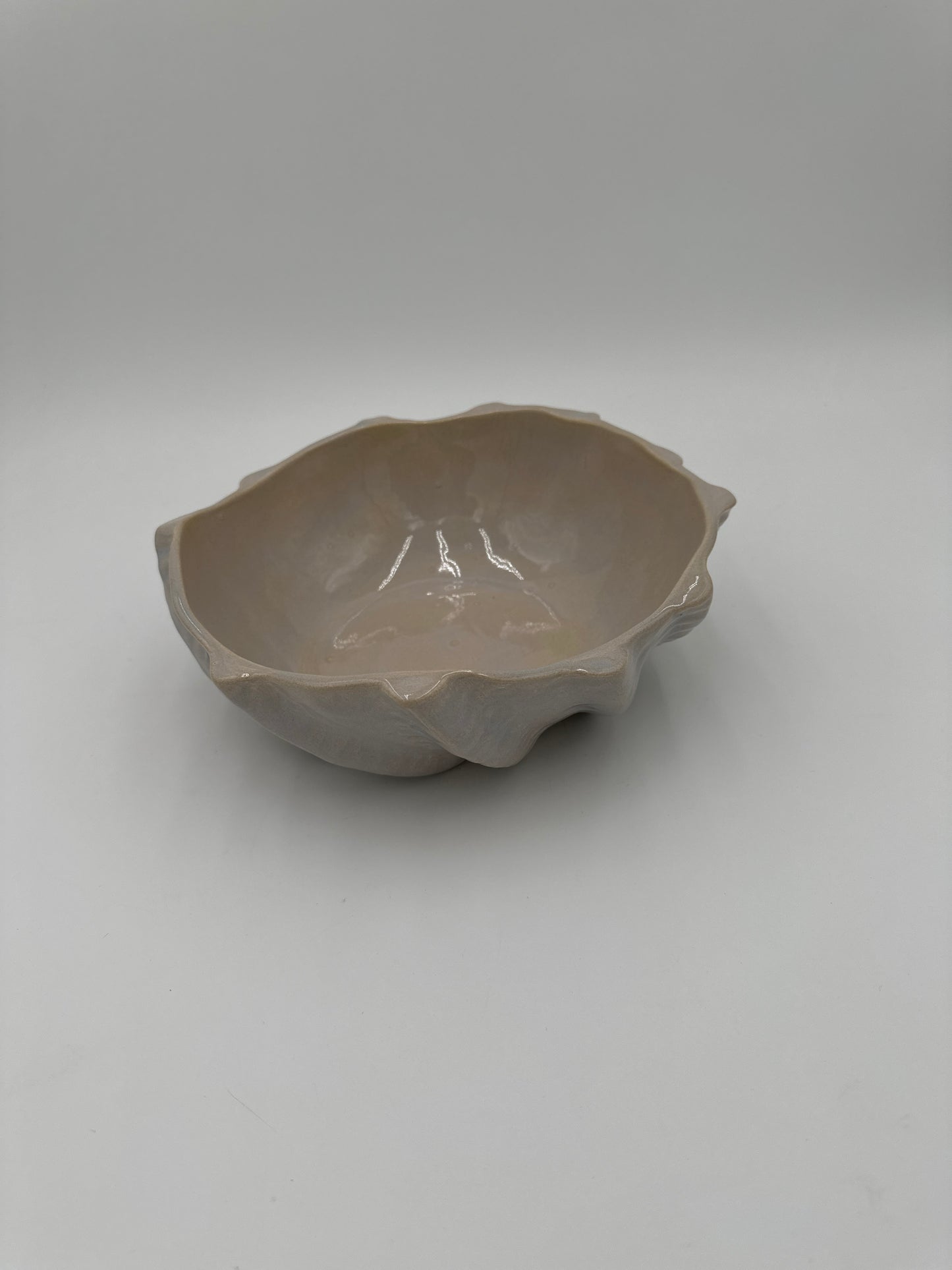 The Aline - Small, Oyster Shell